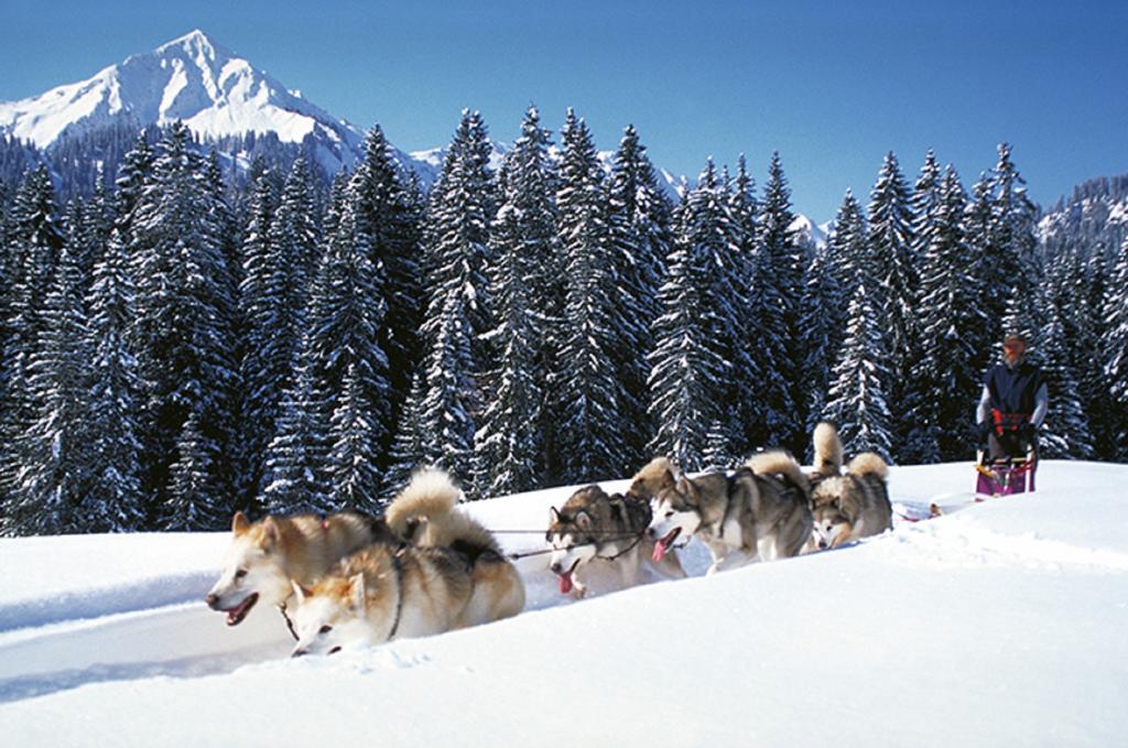 Alpen Select Lodge Kleinwalsertal Рицлерн Екстериор снимка
